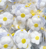 60 Daisy Bath Bombs