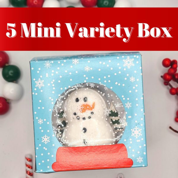 Snow Globe Variety Box (5 Variety)